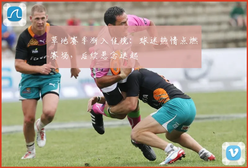 草地赛季渐入佳境：球迷热情点燃赛场，后续悬念迭起