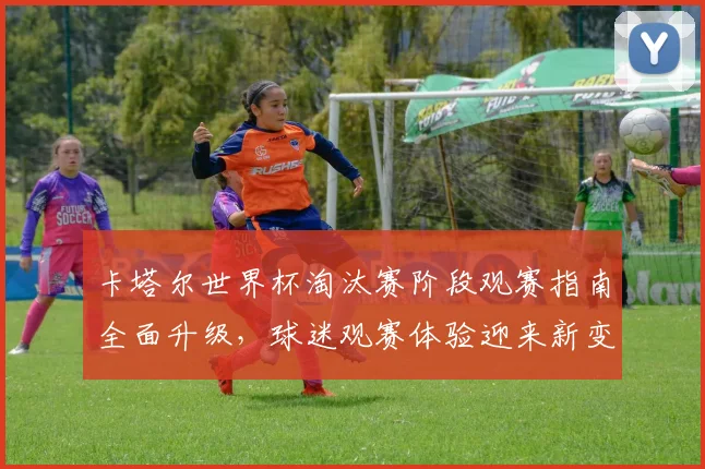 卡塔尔世界杯淘汰赛阶段观赛指南全面升级，球迷观赛体验迎来新变革