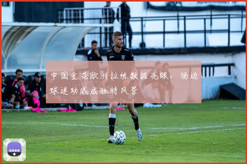 中国金花欧洲拉练数据亮眼，场边球迷助威成独特风景