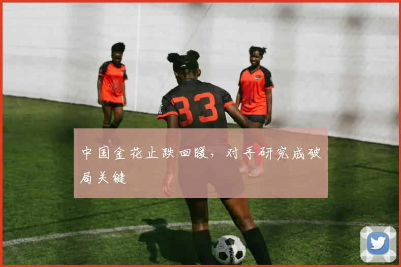 中国金花止跌回暖，对手研究成破局关键