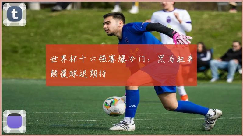 世界杯十六强赛爆冷门，黑马狂奔颠覆球迷期待