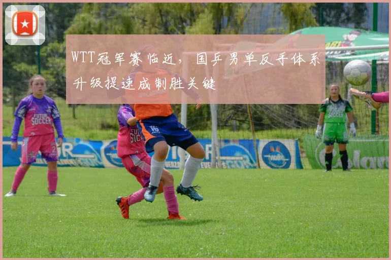 WTT冠军赛临近，国乒男单反手体系升级提速成制胜关键