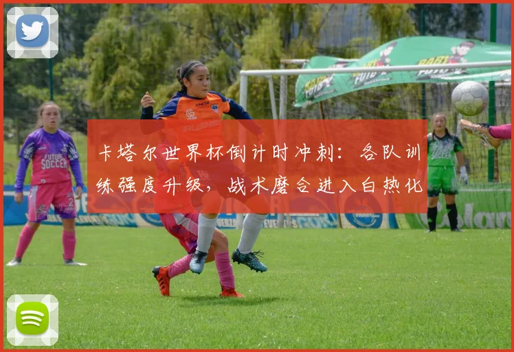 卡塔尔世界杯倒计时冲刺：各队训练强度升级，战术磨合进入白热化阶段